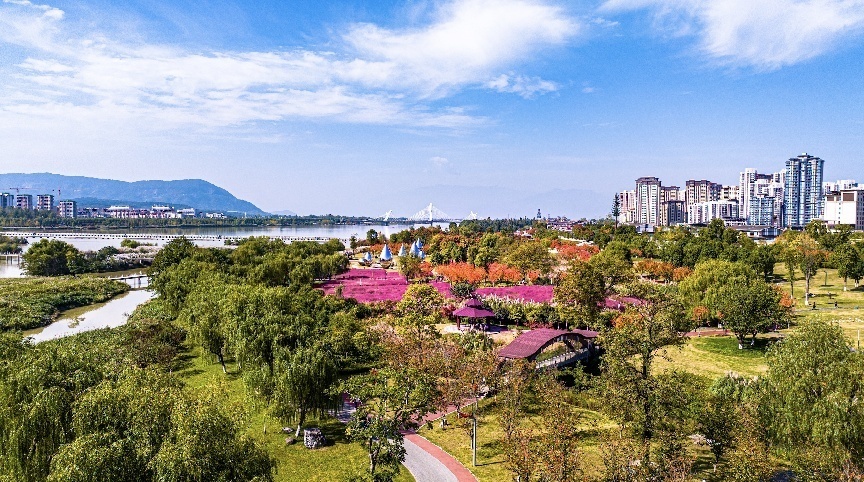 步入公園，仿佛走進“色彩的世界”。王淦攝（資料圖片）