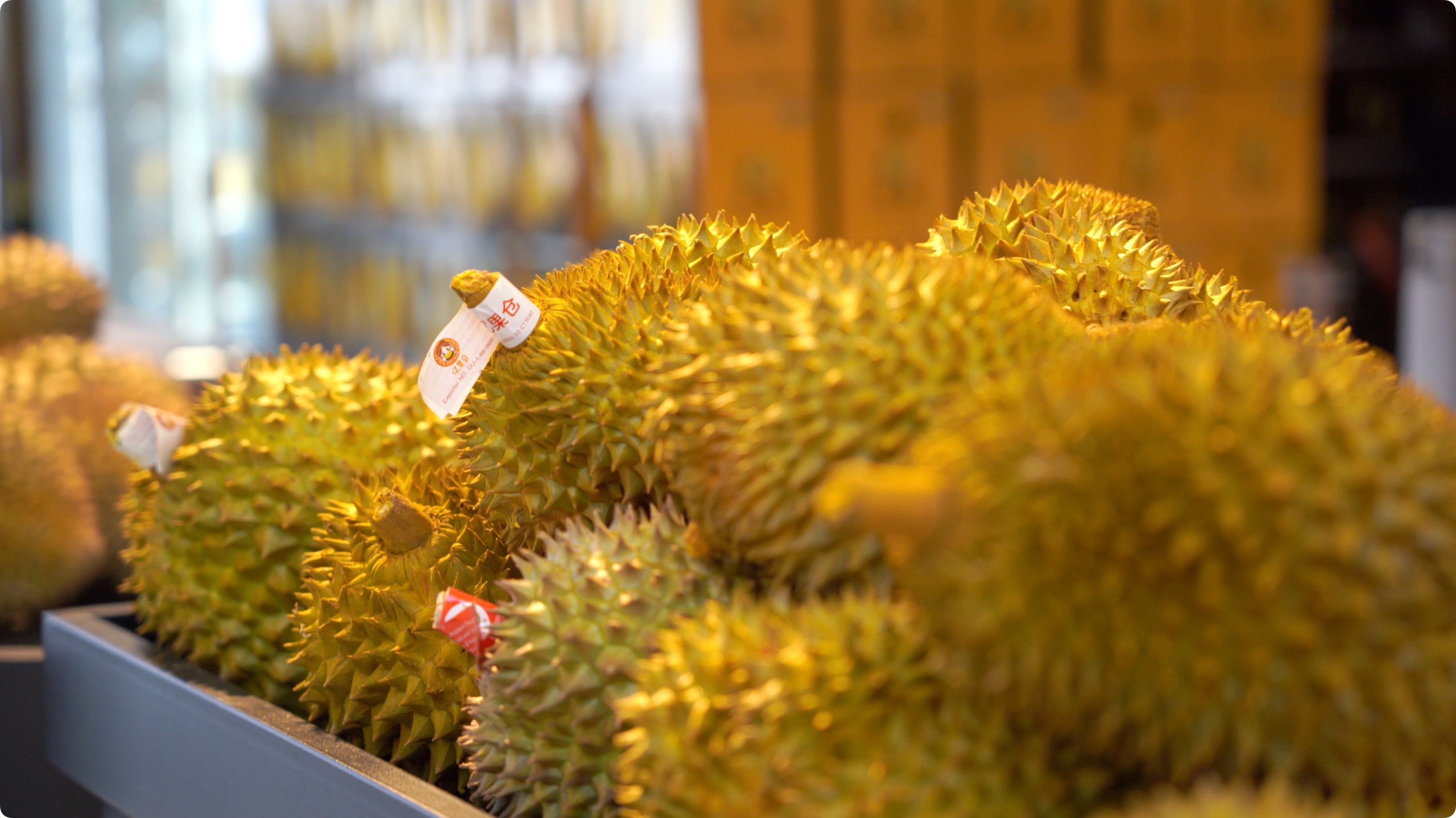 5月初,人民網(wǎng)記者申佳平攝