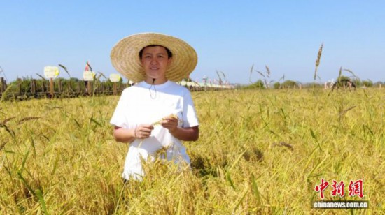 全國人大代表、寧安市渤海鎮(zhèn)上官地村黨支部書記、村委會(huì)主任陳雨佳在稻田中。 受訪者供圖